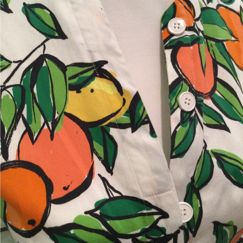 PRICE DROP! Gorgeous Citrus Print Dress w pockets - Picture 14 of 16